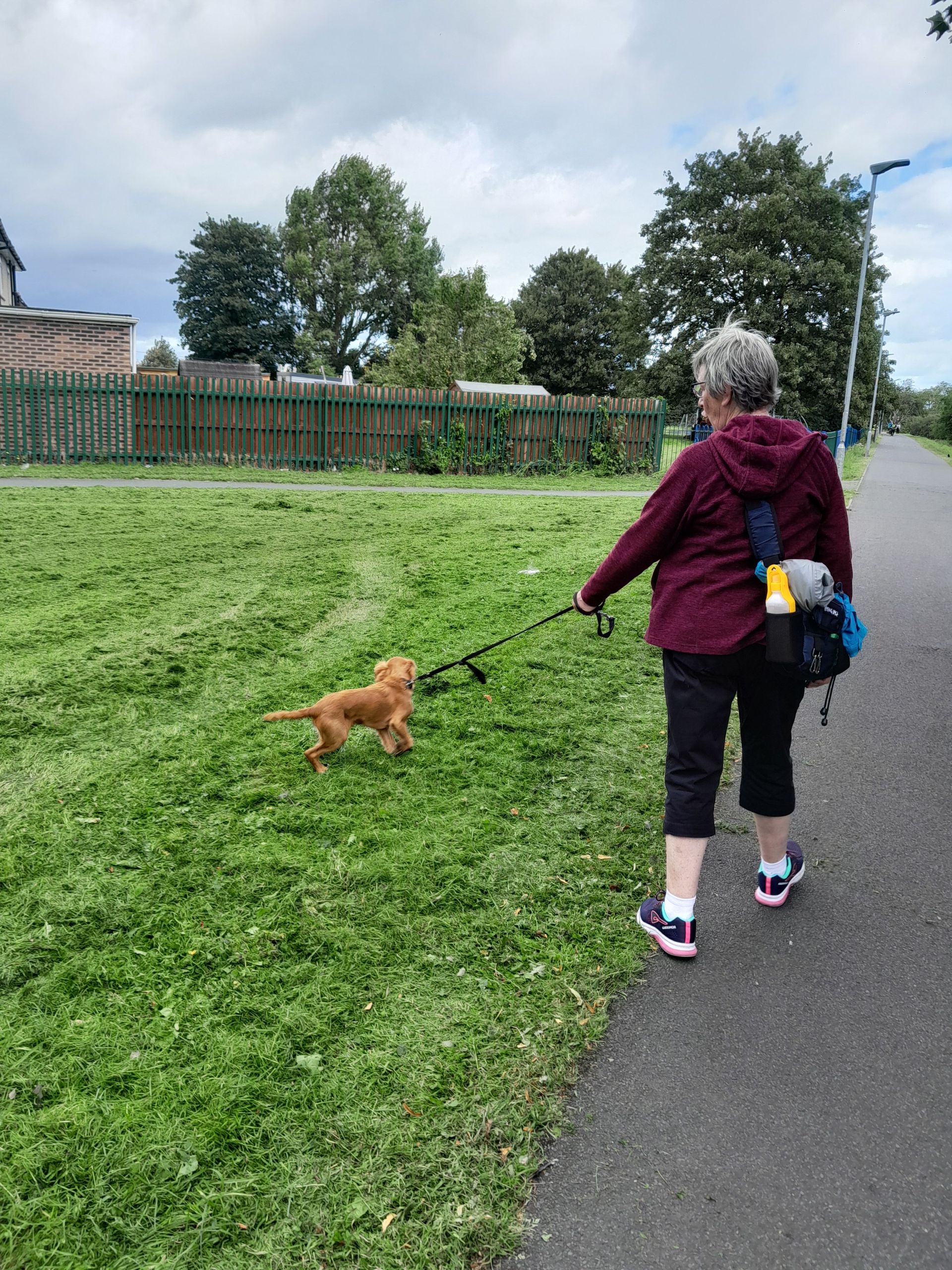 Walker with their dog